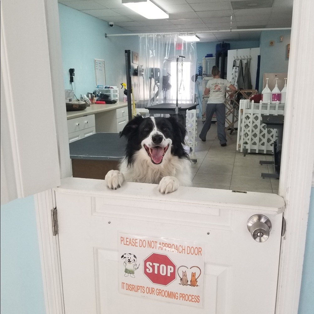 My babies are growing up…. - Picture 13 of 16